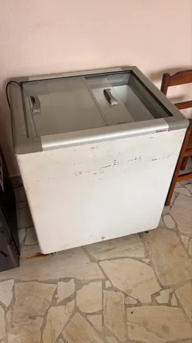 Freezer Fricon 216L 220V