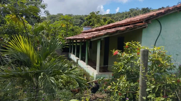 Fazendinha de 8 alqueires 