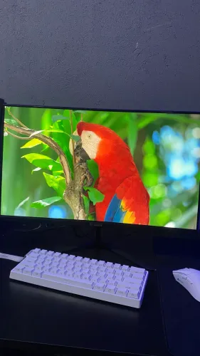 MONITOR CURVO 24° 165hz