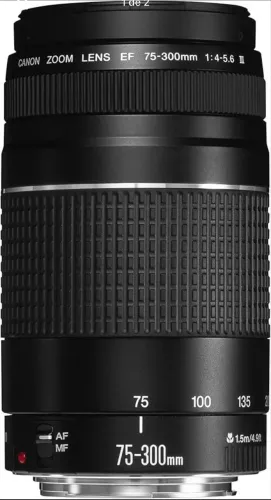 CANON Lente Ef 75-300 Mm F/4-5.6 Iii