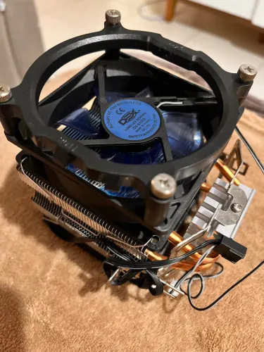 Cooler 