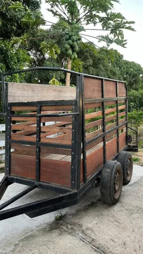 Carretinha de cavalo