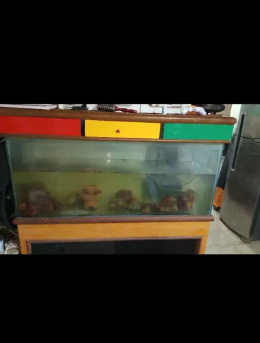 Vendo Aquário grande