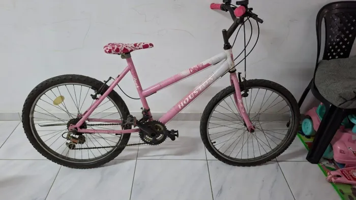 Vendo Bicicleta feminina