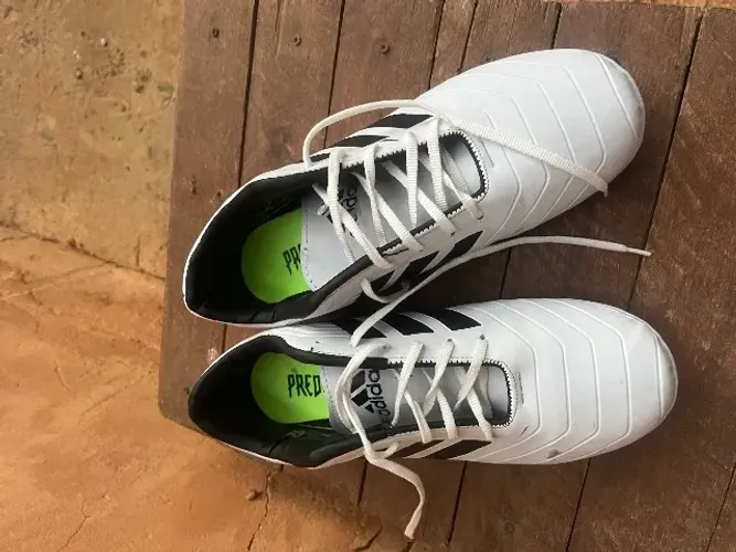 Chuteira adidas predator