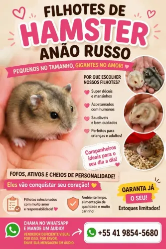 Hamster anão russo filhotes lindos, dóceis e saudáveis