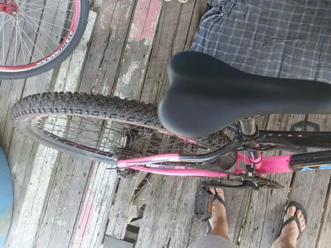 Bicicleta absolute hera