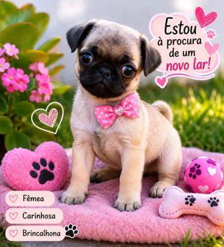 PUG MICRO 