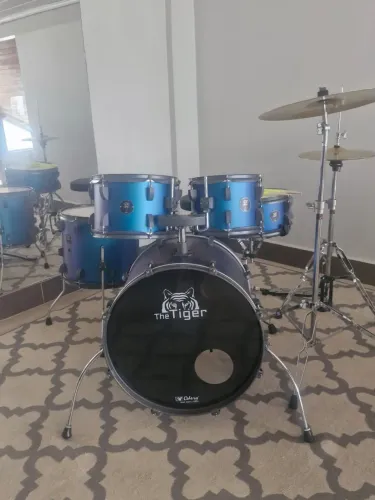 Bateria Acústica Odery The tiger camaleão