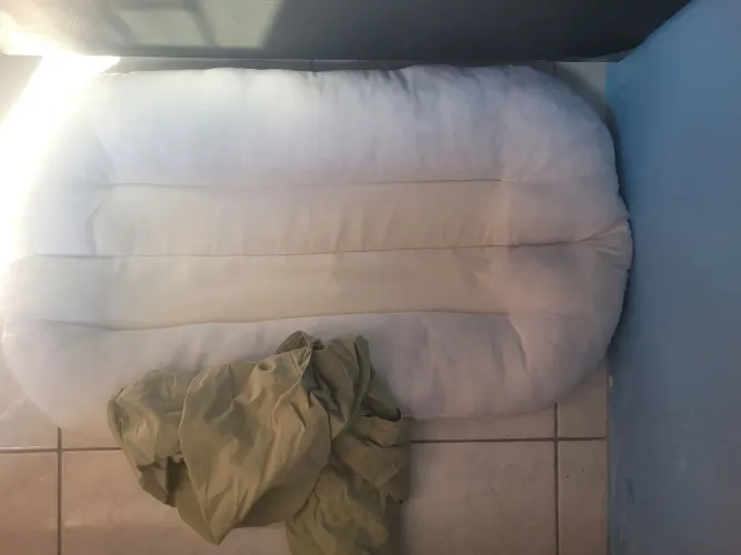 Ninho redutor bebe