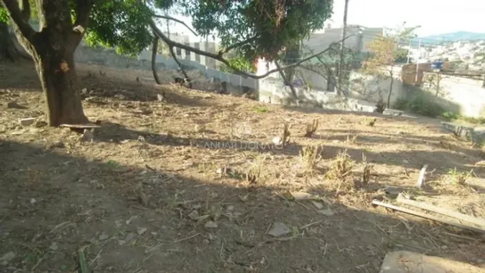 Novo São Lucas - Lote / Terreno à venda na Anuar Donato