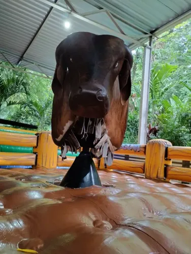 LOCAÇÃO TOURO MECÂNICO, TOBOGÃ SLIDE, FUTEBOL DE SABÃO