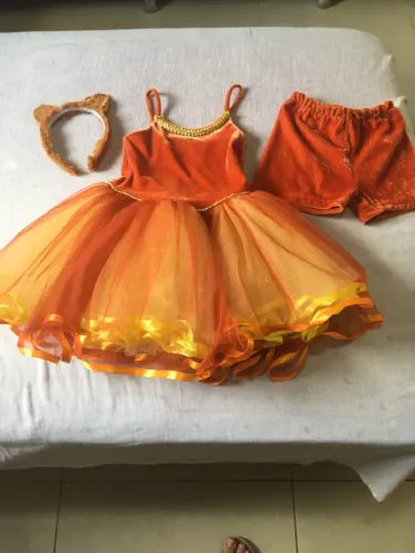 Fantasia Leãozinho Infantil