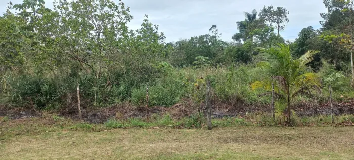 Chácaras sem casa próximo  Peruíbe-SP