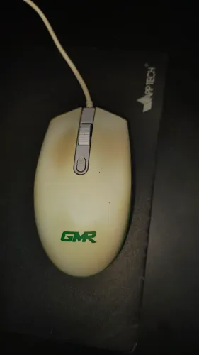Mouse