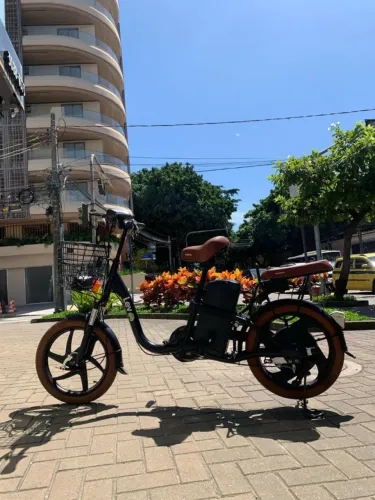 LEV E BIKE (ARO 18)