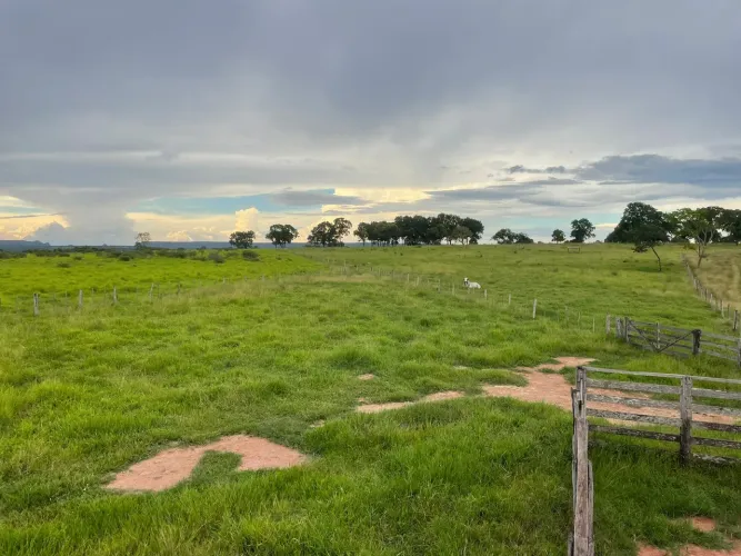 Fazenda em Tesouro MT. 944.5 hec na beira do rio prata. R$:27.000 por hec