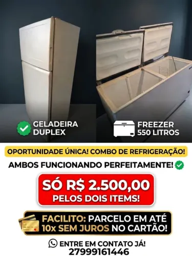 Frezzer 550 e Geladira Duplex os dois 2.500,00