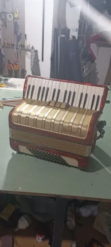 Acordeon/ Sanfona 48bx