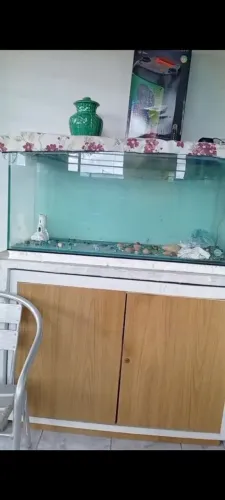 Vendo aquário