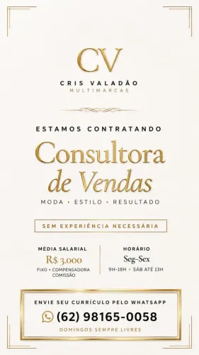 Consultora de Vendas