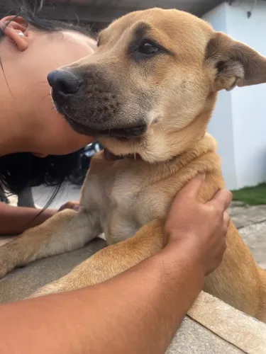 Doação solidária e afetiva.