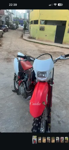 Crf 230
