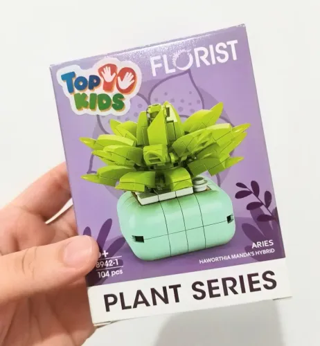 Blocos de montar Lego suculenta cacto pequeno brinquedo coleção plantas