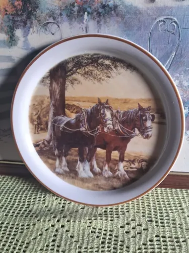 2 Pratos Antigo Porcelana 30 Centímetros