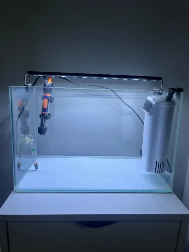 Aquário completo (filtro+aquecedor+luminária+temporizador)