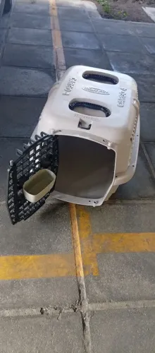 Casinha de trasporte para cachorro