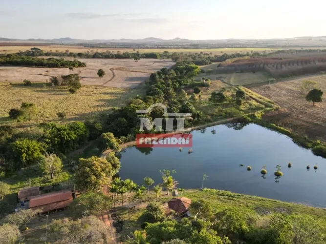 Fazenda 15,5 alqueires (75 hectares) Goianesia - GO