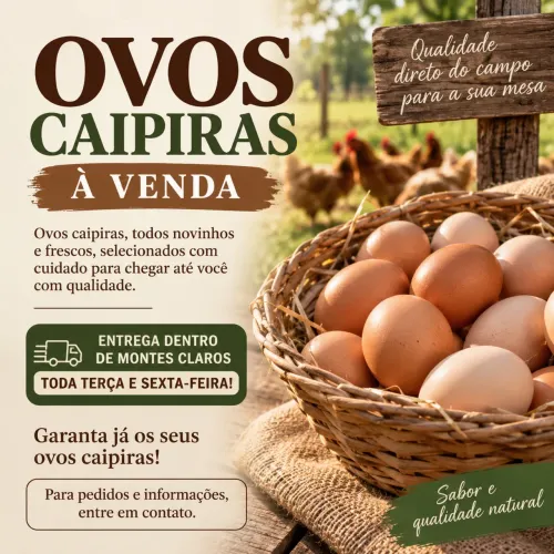 Ovos caipiras à venda