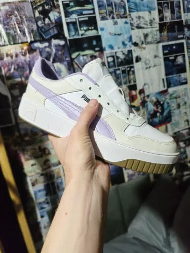 Puma caven 38