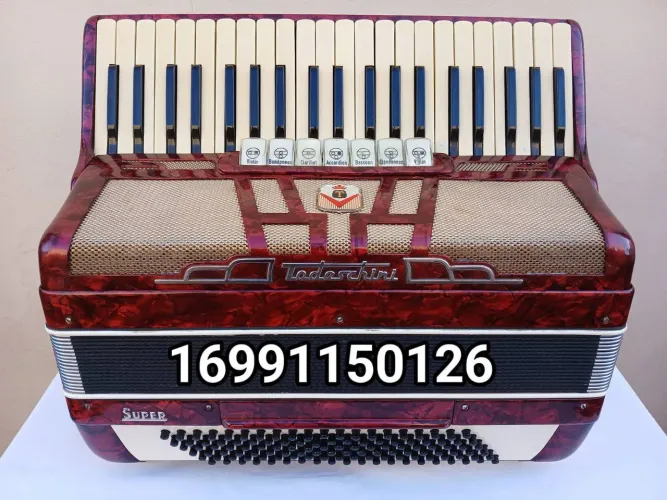 Acordeon Sanfona Todeschini Super 6