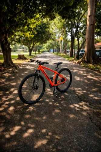 Lotus laranja - Aro 29 