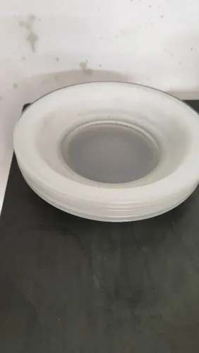 5 Pratos leitosos N 22