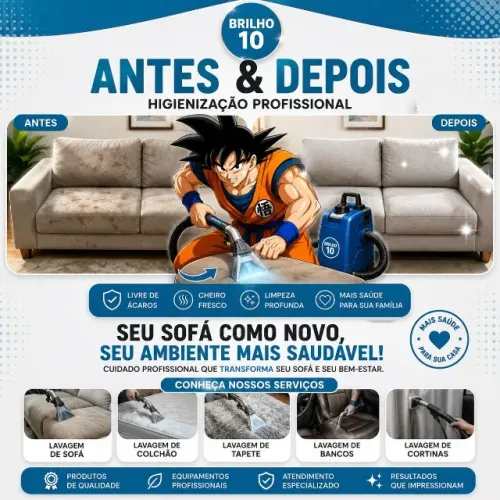 Lavagem a seco de qualidade e preço baixo
