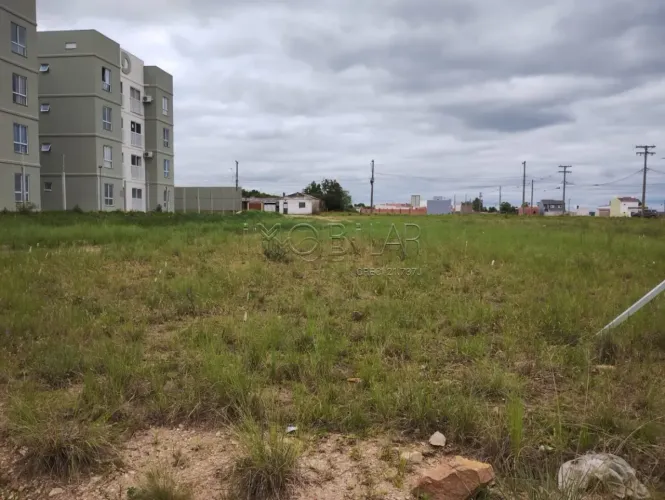 Terreno Padrão em Bagé