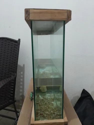 Aquario 