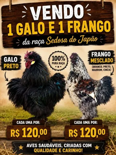 Vendo