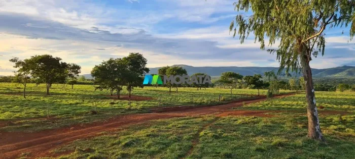 FAZENDA À VENDA - 1.266 HECTARES - ENGENHEIRO NAVARRO (MG)