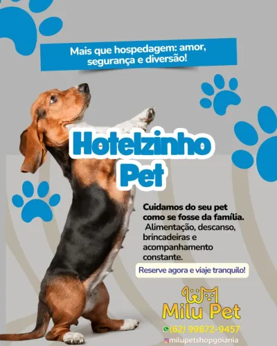 Hospedagem pet domiciliar hotelzinho em casa