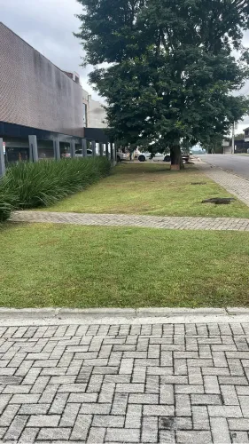 Corte de grama e manutenção em jardins. Grandes e pequenos 