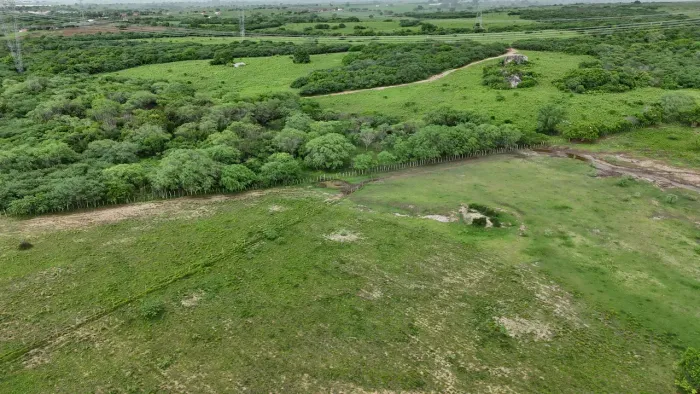 fazenda com 150 hectares na região de Santo Antônio do salto da onça  plantada e com água
