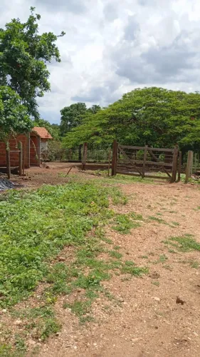 VENDO TERRENO RURAL - 11,5 HECTARES 40 KM DE MONTES CLAROS - BOCAIÚVA/MG