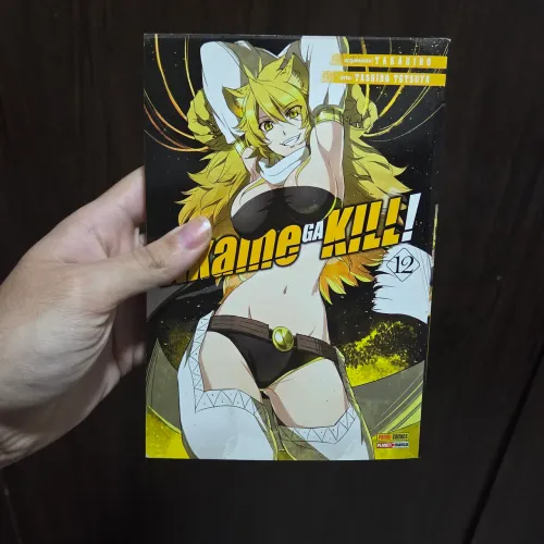 Mangá Akame Ga kill Vol 12