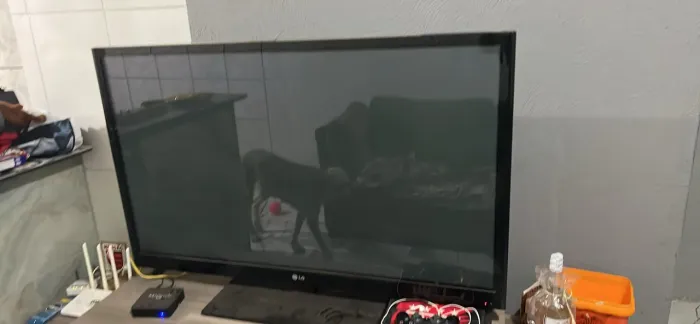 VENDE-SE TV LG 55 POLEGADAS COM VISOR QUEIMADO