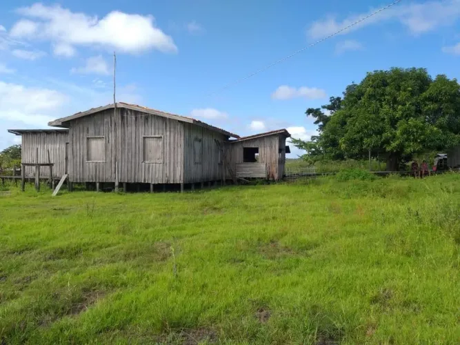 Fica no município de almerim localidade rio jutaíPasto para 3 mil cabeças de gado
