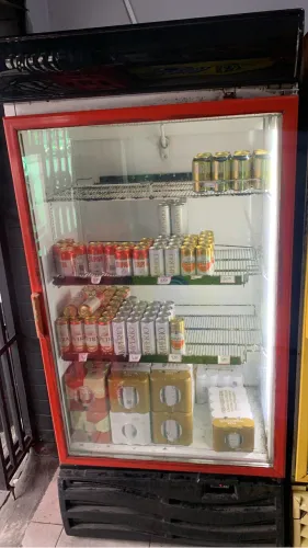 Expositora Grande Metalfrio 600L